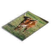Brown und weißes Longhorn Stier Notizblock (Linke Seite)