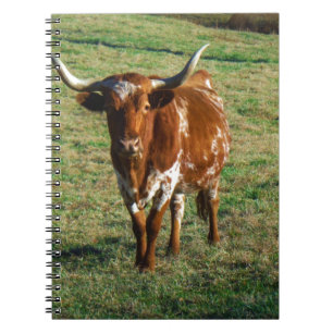 Brown und weißes Longhorn Stier Notizblock