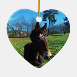 Brown und weißes Maultier Keramikornament