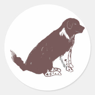 Brown und weißes newfie runder aufkleber