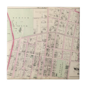 Brown University Fliese