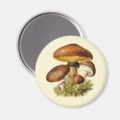 Brown Vintag Mushroom Magnet (Vorderseite/Rückseite)