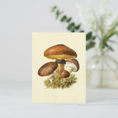 Brown Vintag Mushroom Postkarte (Stehend Vorderseite)
