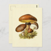 Brown Vintag Mushroom Postkarte (Vorne/Hinten)
