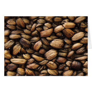 Brown Walnut Muscheln