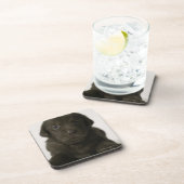 Brown-Welpe, Porträt, Nahaufnahme Getränkeuntersetzer (Rechte Seite)