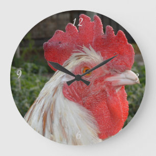 Brown White Rooster Face, Large Round Wall Clock Große Wanduhr