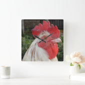 Brown White Rooster Face, Square Wall Clock Quadratische Wanduhr (Zuhause)