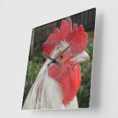 Brown White Rooster Face, Square Wall Clock Quadratische Wanduhr (Winkel)