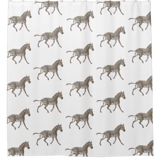 Brown Zebras Duschvorhang (Vorderseite)
