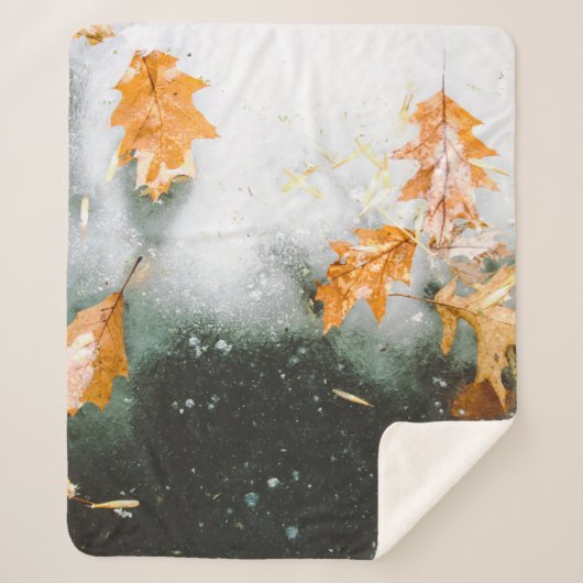 BROWNE MAPLE-BLÄTTER AUF GLAS SHERPADECKE (Vorderseite)