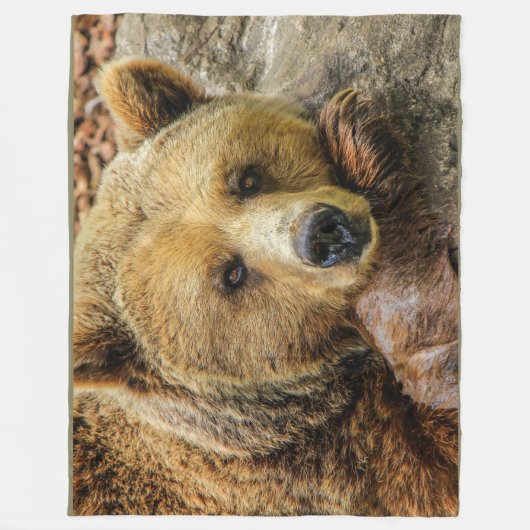 BrownGrizzly betreffen Fleece-Decke Fleecedecke (Vorderseite)