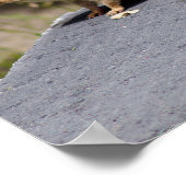 Brownie Poster (Ecke)