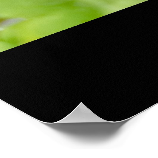 Brownies Poster (Ecke)