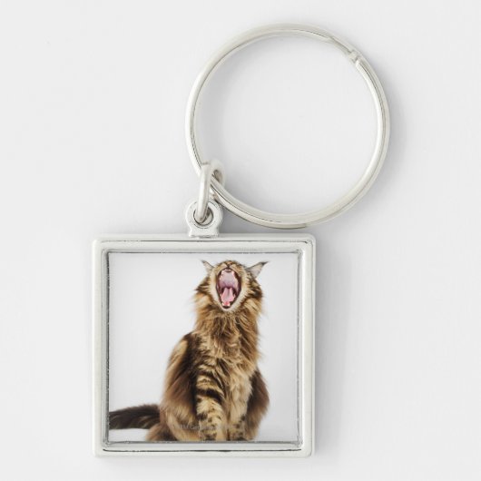 Brownklassischer HauptwaschbärTabby Schlüsselanhänger (Vorne)