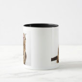 Brownklassischer HauptwaschbärTabby Tasse (Zentrum)