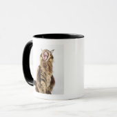 Brownklassischer HauptwaschbärTabby Tasse (Vorderseite Links)