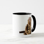 Brownklassischer HauptwaschbärTabby Tasse (VorderseiteRechts)