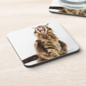 Brownklassischer HauptwaschbärTabby Untersetzer (Linke Seite)