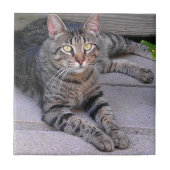 Browntabby-Katze draußen Fliese (Vorderseite)