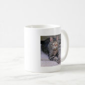 Browntabby-Katze draußen Kaffeetasse (VorderseiteRechts)
