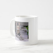 Browntabby-Katze draußen Kaffeetasse (Vorderseite Links)