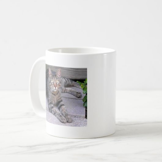 Browntabby-Katze draußen Kaffeetasse (Vorderseite Links)