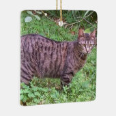 Browntabby-Katze draußen Keramikornament (Rechts)