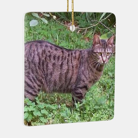 Browntabby-Katze draußen Keramikornament (Rechts)