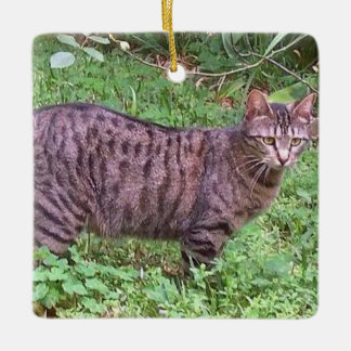 Browntabby-Katze draußen Keramikornament