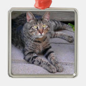 Browntabby-Katze draußen Ornament Aus Metall (Vorne)