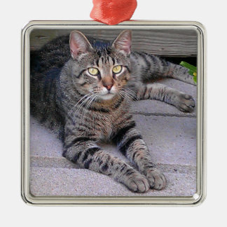 Browntabby-Katze draußen Ornament Aus Metall