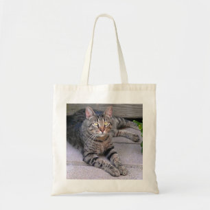 Browntabby-Katze draußen Tragetasche