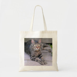 Browntabby-Katze draußen Tragetasche