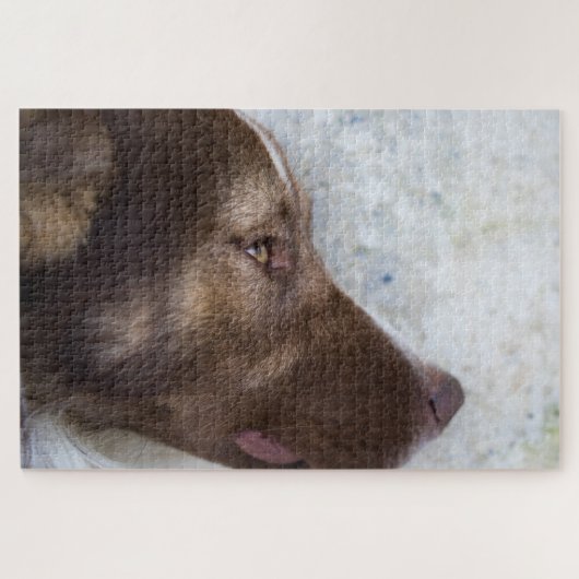 Browny Puzzle (Horizontal)