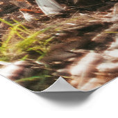 BROWTIGER IN WALKING GESTURE POSTER (Ecke)