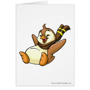 Bruce Brown