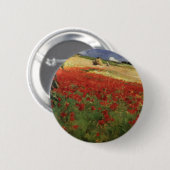 BRUCE, der Mohnblumenmohnblume Williams Blair Button (Vorne & Hinten)