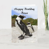 Bruce Happy Birthday African Penguins Spaß Card Karte (Vorderseite)