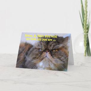 Bruce Happy Birthday Spaß Calico Persian Kitty Karte