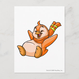 Bruce Orange Postkarte