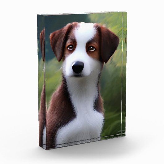 Bruce The Border Collie Puppy, Foto Block (Links)
