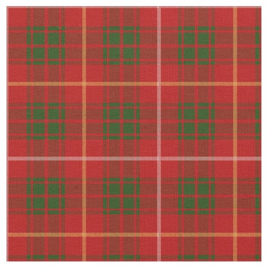 Brucetartan-Druck Stoff (Nahaufnahme)