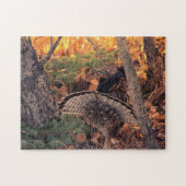 Bruchhuhn Puzzle (Horizontal)