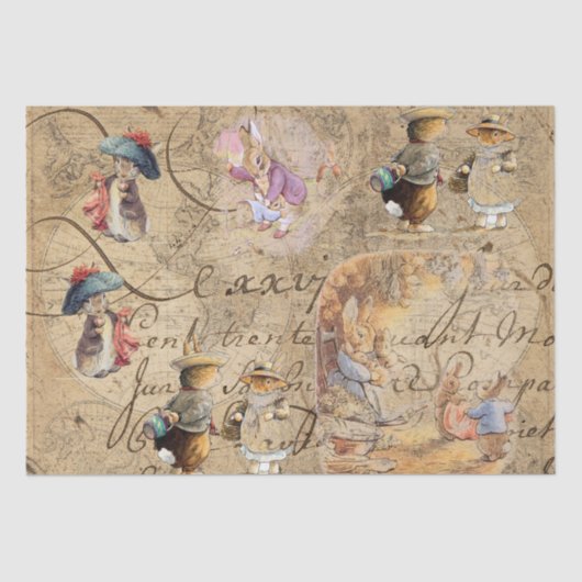 Bruchkaninchen (Sammlung4) Gewebepapier Seidenpapier (Vorderseite)