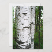 Bruchstamm (Vorderseite)