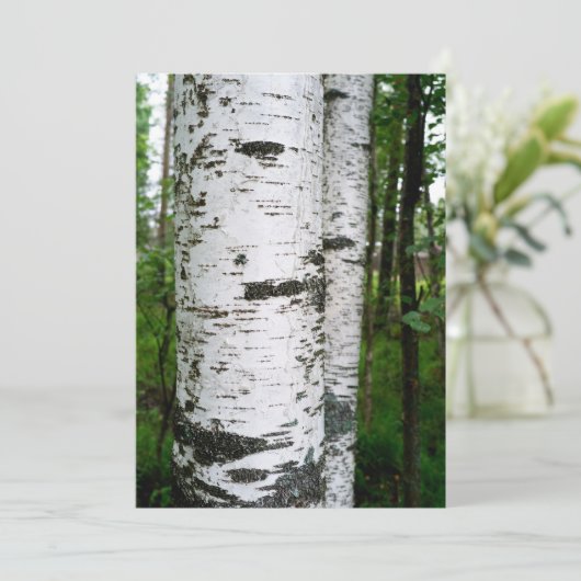 Bruchstamm (Stehend Vorderseite)