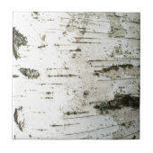 Bruchstamm Fliese (Vorderseite)