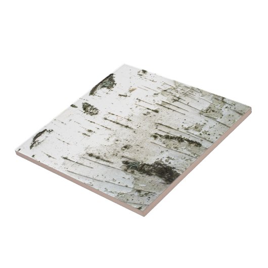 Bruchstamm Fliese (Seite)