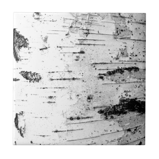 Bruchstamm Fliese (Vorderseite)